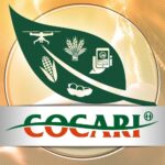 Cocari