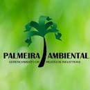 Palmeira ambiental