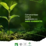 Palmeira Ambiental